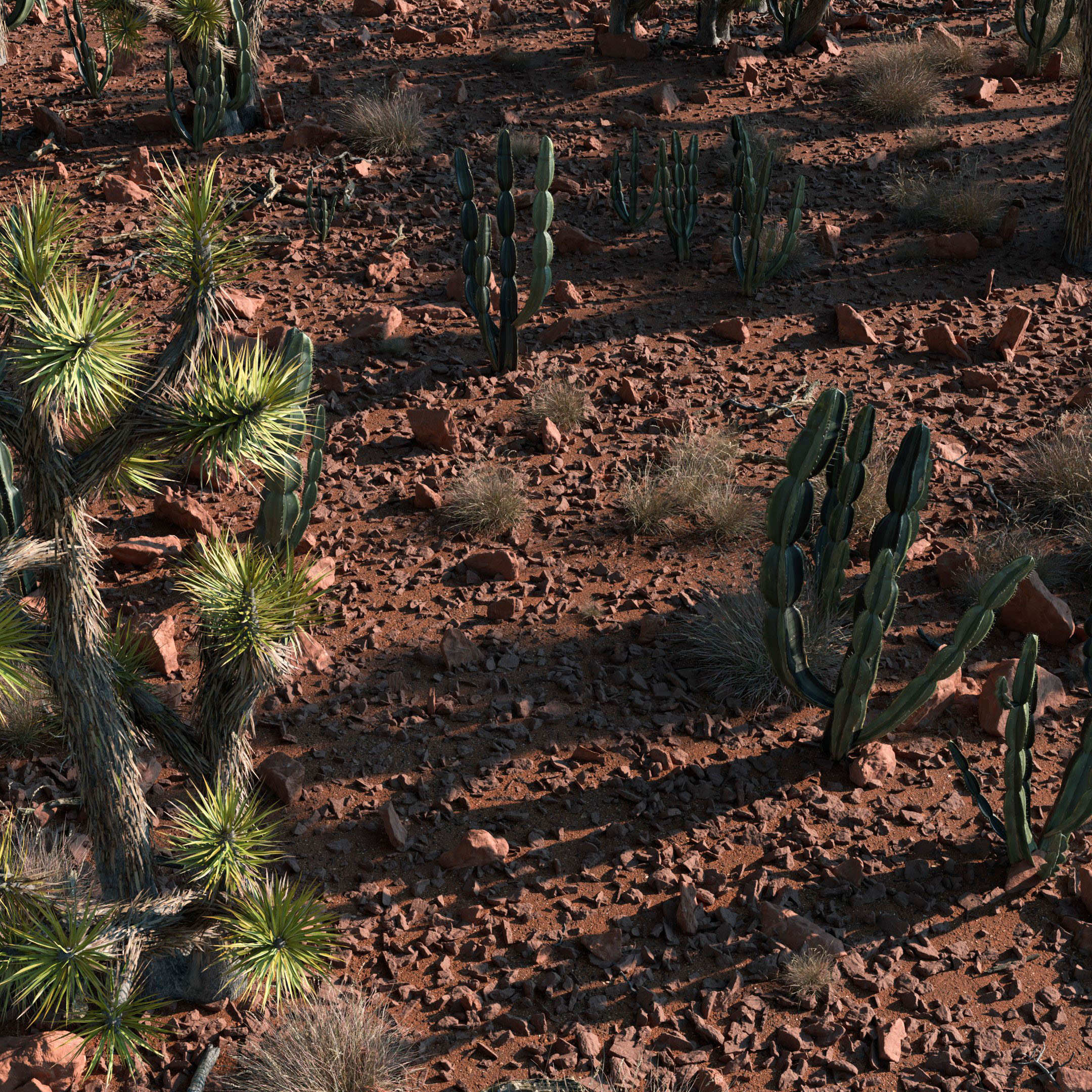 Wasteland